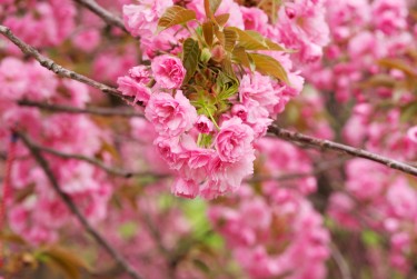常州新北区1线下个人借款平台一站式服务，轻松解决资金难题