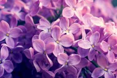 常州新北区1企业急用钱贷款攻略：快速融资解燃眉之急